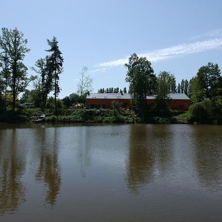 Florennes Gite Neuf 150 M2 Devant Un Grand Lac Prive De 2 Hectares Poissonneux Au Milieu Des Bois Kültér fotó