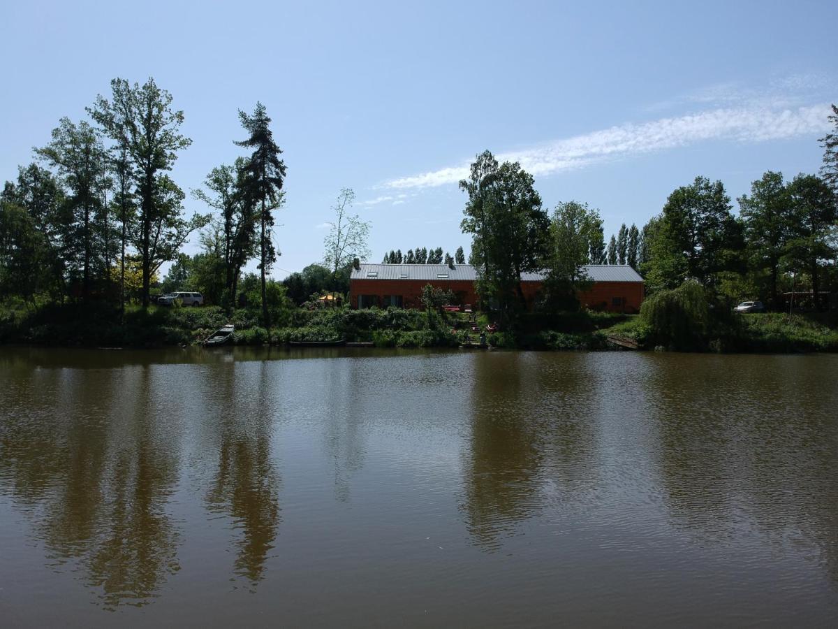 Florennes Gite Neuf 150 M2 Devant Un Grand Lac Prive De 2 Hectares Poissonneux Au Milieu Des Bois Kültér fotó