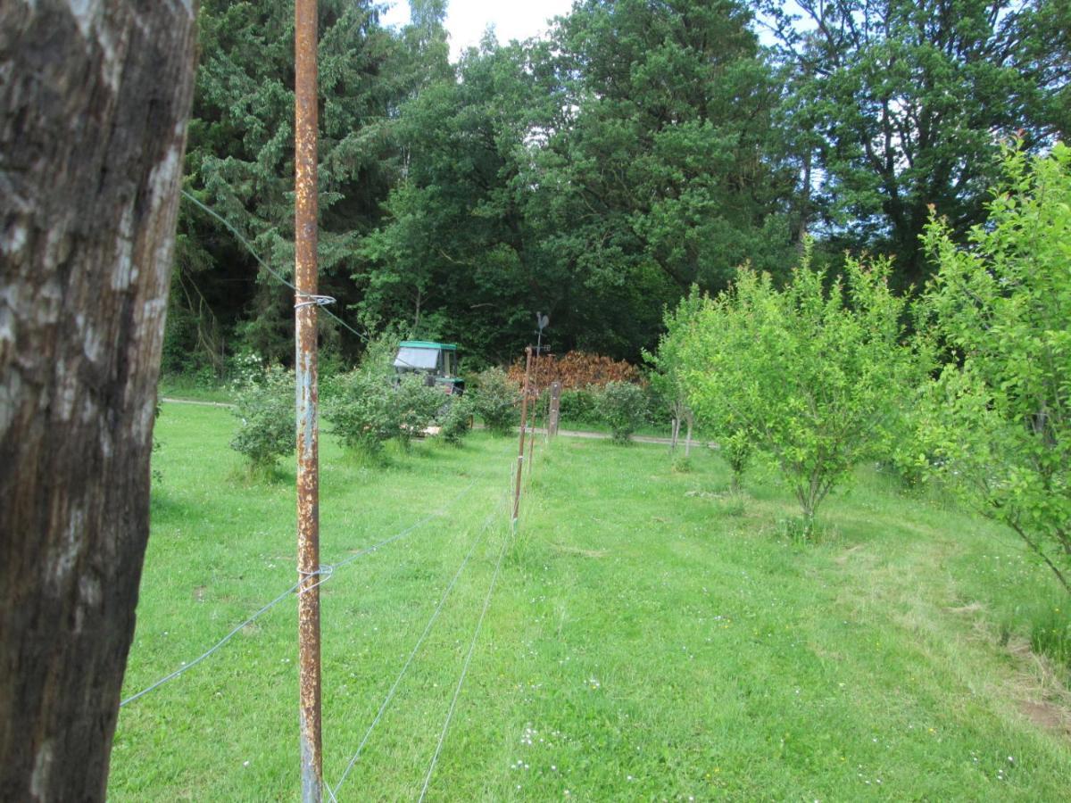 Florennes Gite Neuf 150 M2 Devant Un Grand Lac Prive De 2 Hectares Poissonneux Au Milieu Des Bois Kültér fotó