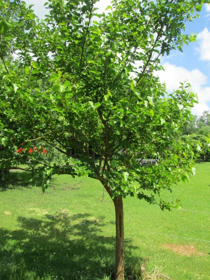 Florennes Gite Neuf 150 M2 Devant Un Grand Lac Prive De 2 Hectares Poissonneux Au Milieu Des Bois Kültér fotó