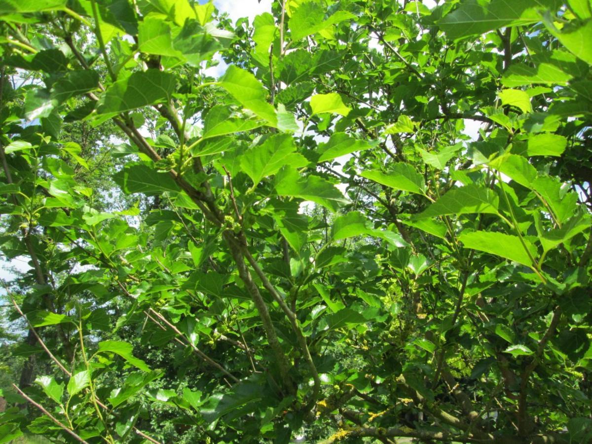 Florennes Gite Neuf 150 M2 Devant Un Grand Lac Prive De 2 Hectares Poissonneux Au Milieu Des Bois Kültér fotó