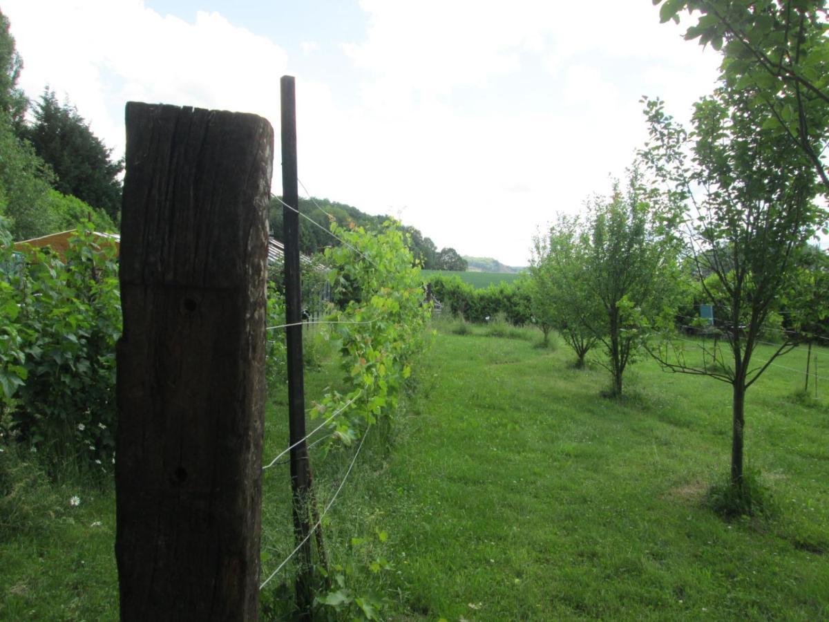 Florennes Gite Neuf 150 M2 Devant Un Grand Lac Prive De 2 Hectares Poissonneux Au Milieu Des Bois Kültér fotó