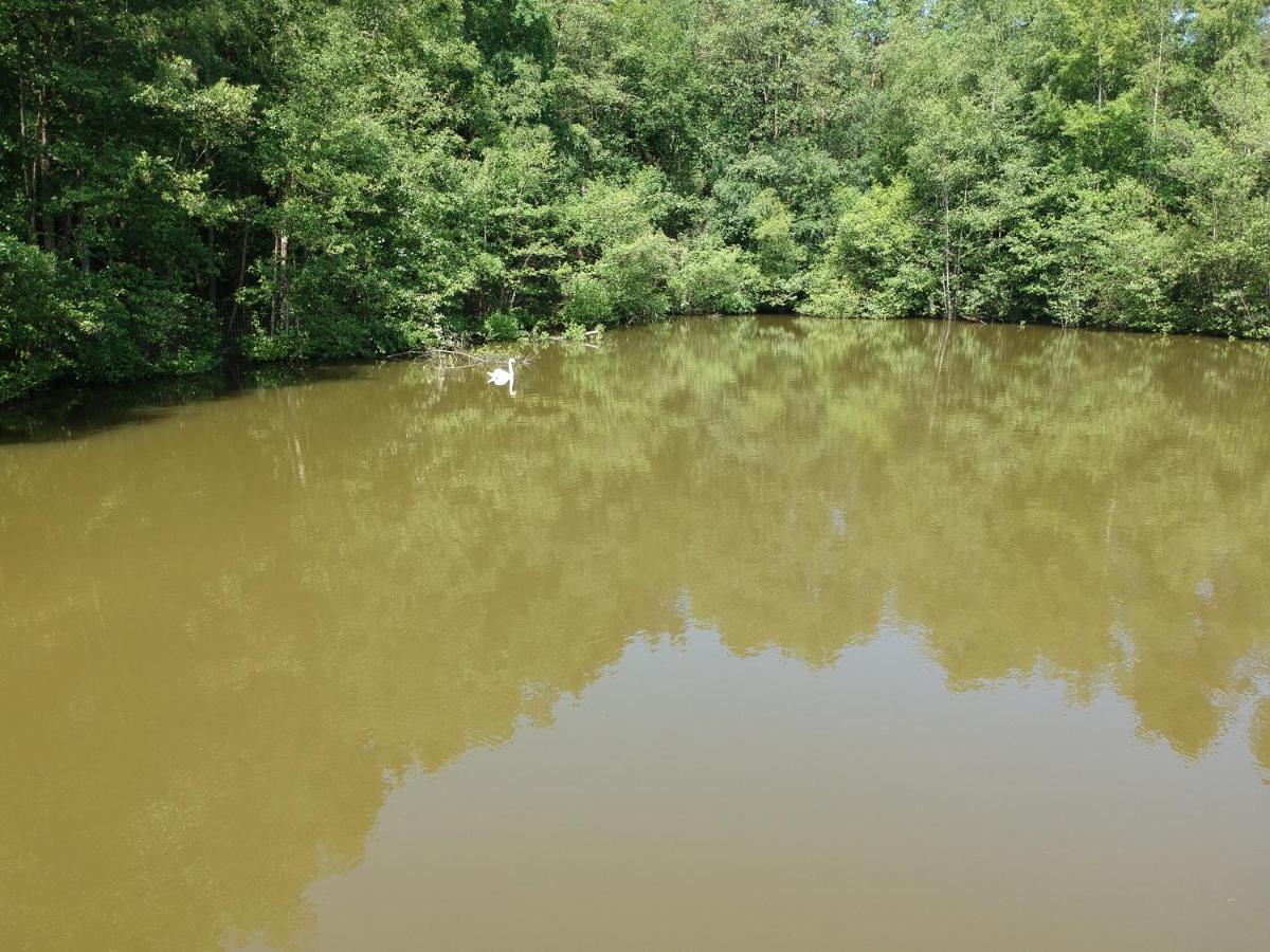 Florennes Gite Neuf 150 M2 Devant Un Grand Lac Prive De 2 Hectares Poissonneux Au Milieu Des Bois Kültér fotó