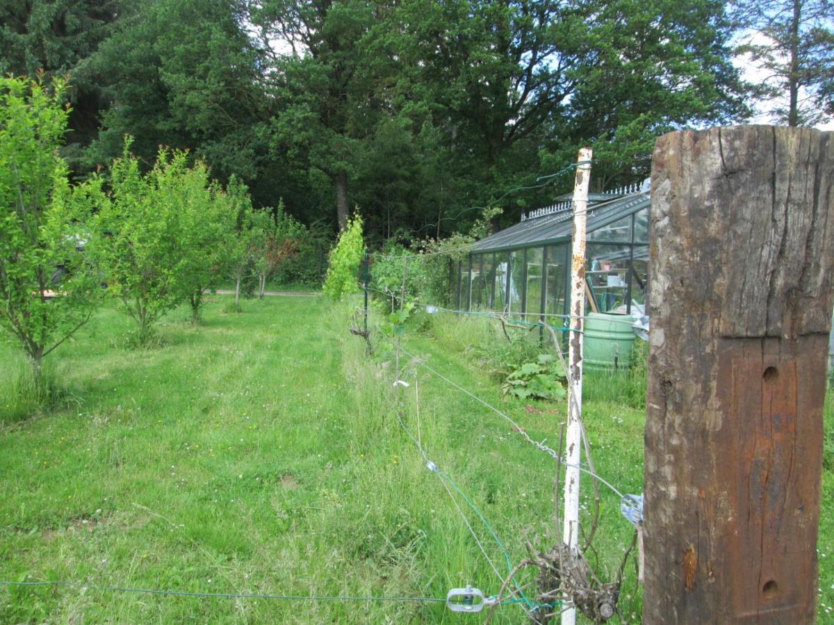 Florennes Gite Neuf 150 M2 Devant Un Grand Lac Prive De 2 Hectares Poissonneux Au Milieu Des Bois Kültér fotó