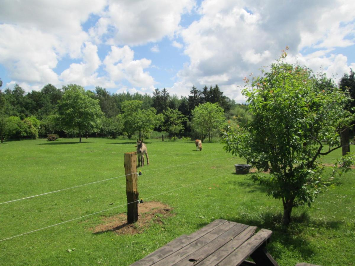 Florennes Gite Neuf 150 M2 Devant Un Grand Lac Prive De 2 Hectares Poissonneux Au Milieu Des Bois Kültér fotó