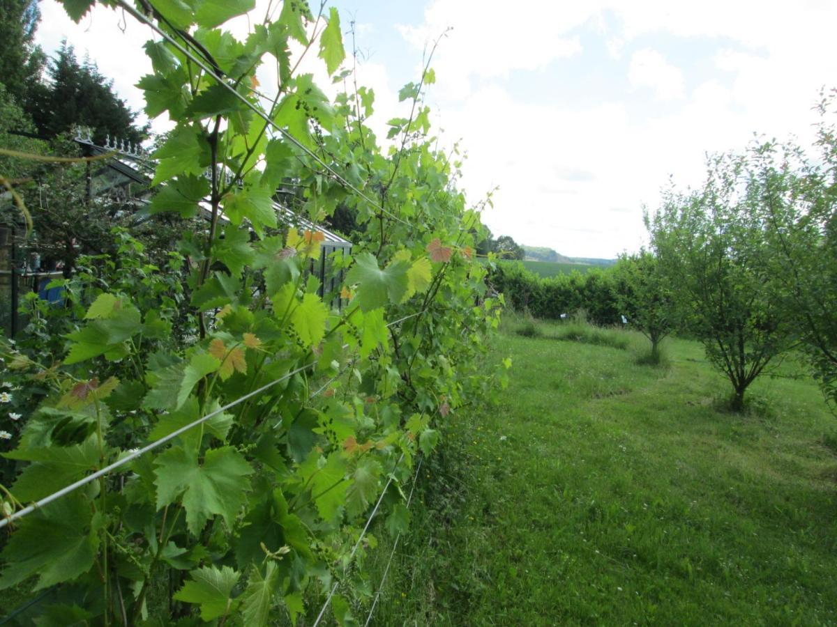 Florennes Gite Neuf 150 M2 Devant Un Grand Lac Prive De 2 Hectares Poissonneux Au Milieu Des Bois Kültér fotó
