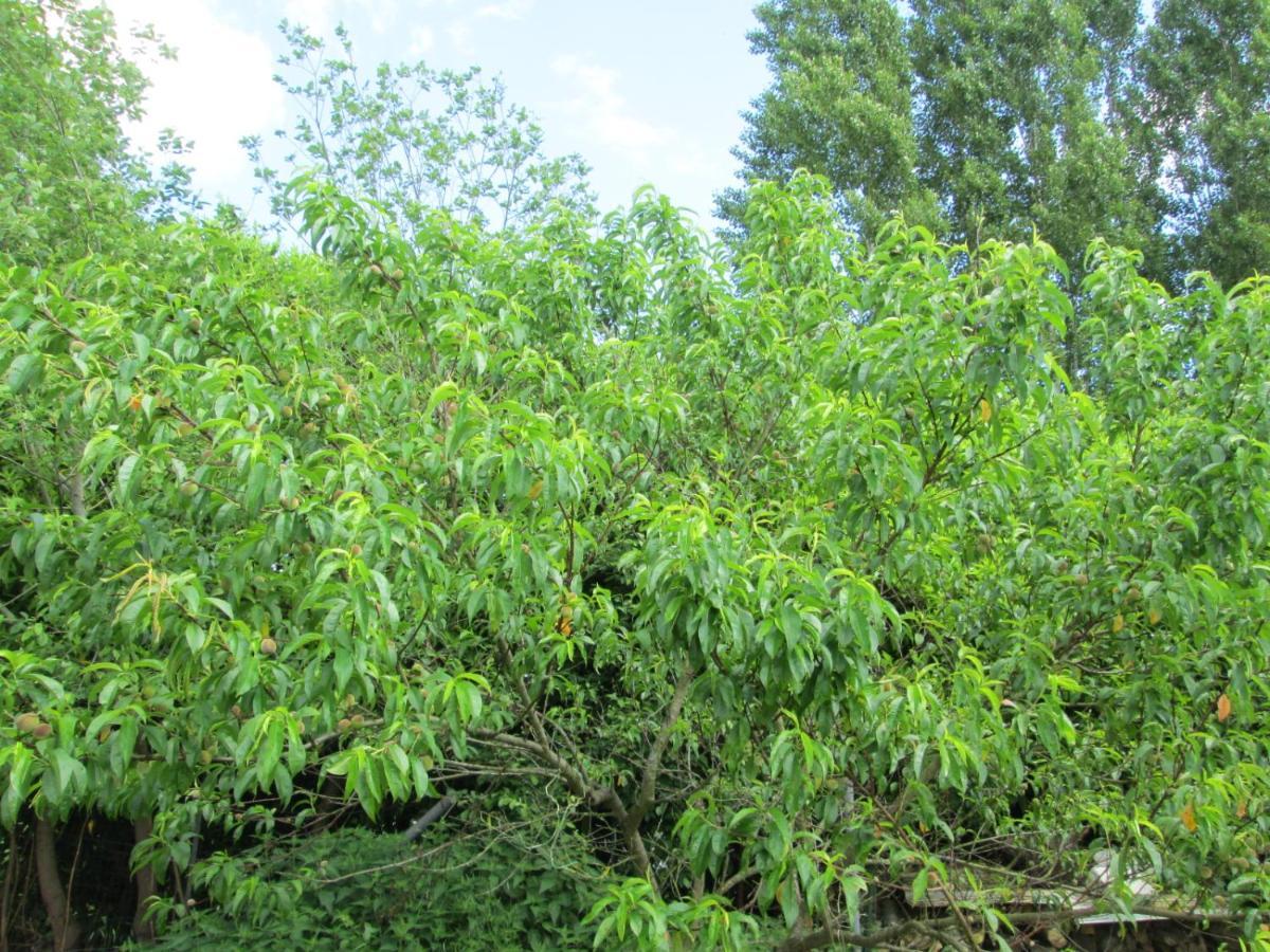 Florennes Gite Neuf 150 M2 Devant Un Grand Lac Prive De 2 Hectares Poissonneux Au Milieu Des Bois Kültér fotó