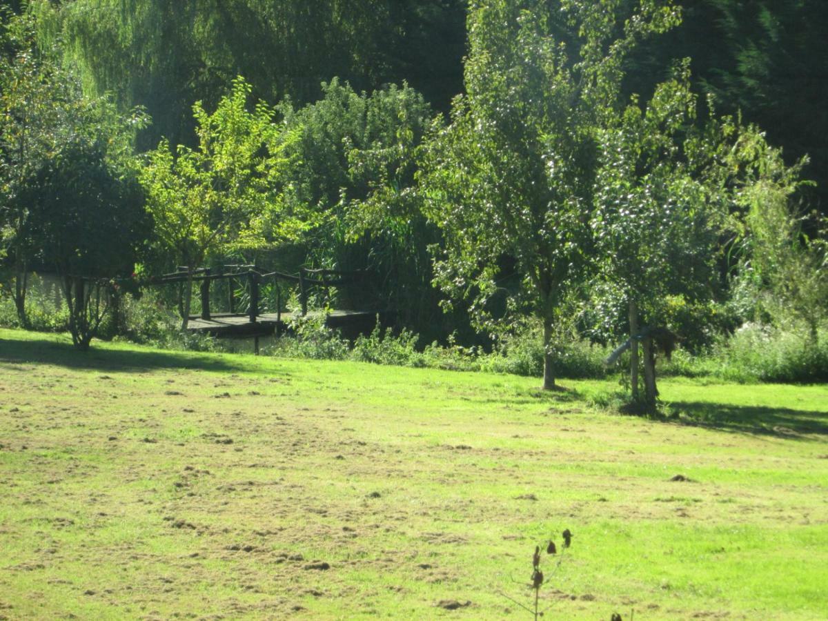 Florennes Gite Neuf 150 M2 Devant Un Grand Lac Prive De 2 Hectares Poissonneux Au Milieu Des Bois Kültér fotó