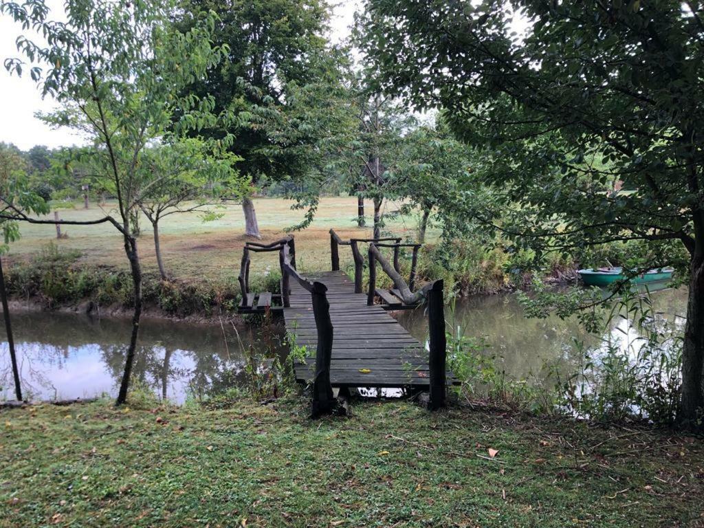 Florennes Gite Neuf 150 M2 Devant Un Grand Lac Prive De 2 Hectares Poissonneux Au Milieu Des Bois Kültér fotó