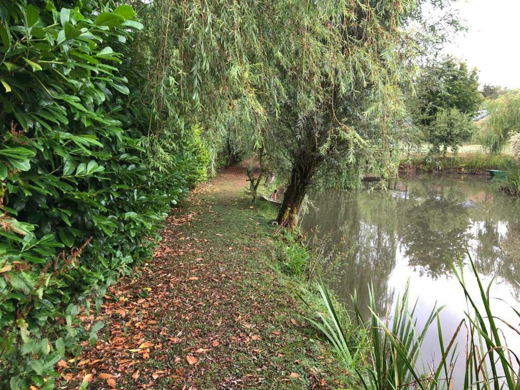 Florennes Gite Neuf 150 M2 Devant Un Grand Lac Prive De 2 Hectares Poissonneux Au Milieu Des Bois Kültér fotó